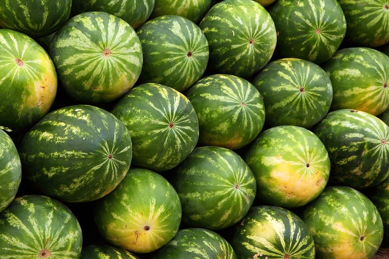 Farm Fresh Vegetables